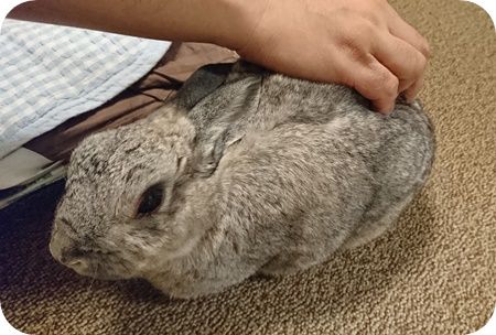 りり356