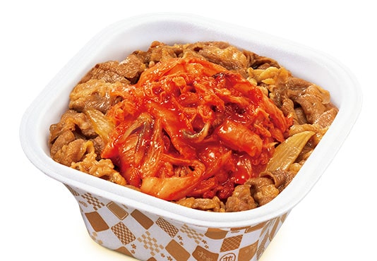 photo_gyudon_100500-min