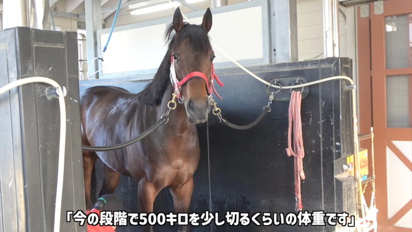 rYM6eXm