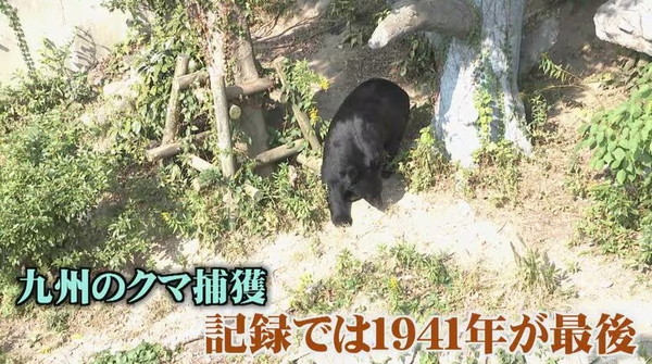 518c417e-142e-4b09-ad9c-897d9bc45801