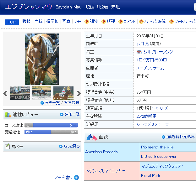 エジプシャンマウ-min