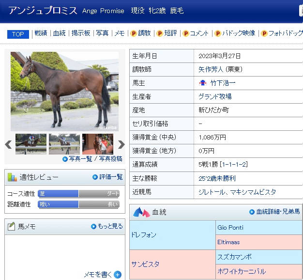 アンジュプロミス