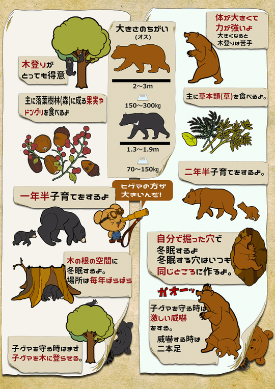 09e5550108169c6120ae0fd8450a6d94-min