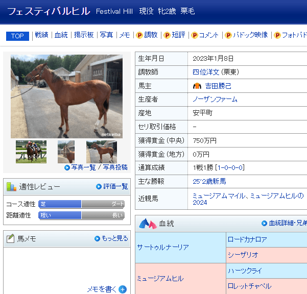 フェスティバルヒル