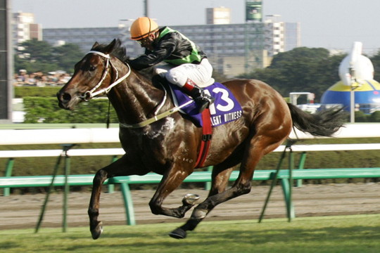 2005サイレントウィットネス