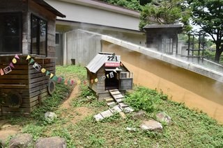 DSC-0707-min
