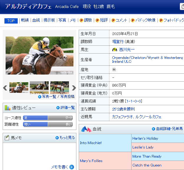 アルカディアカフェ-min