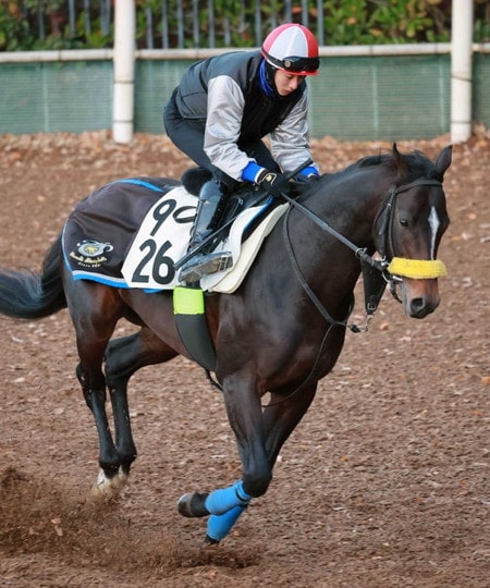 ダウンロード-min