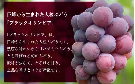 sd2_1b6d5b7b429078495cbb89d8f079bc7322900825