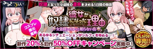 彼女が奴隷になった理由-女盗賊シルフィと眠らない島- 彼女が奴隷になった理由-女盗賊シルフィと眠らない島-