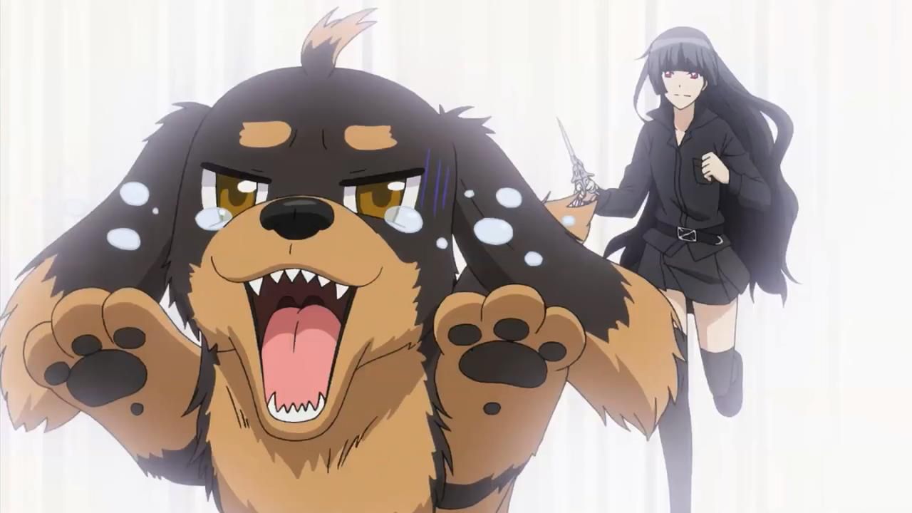 犬とハサミは使いようとかいうアニメ Nanじぇい