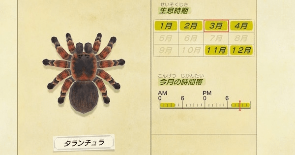 b91a6818-min