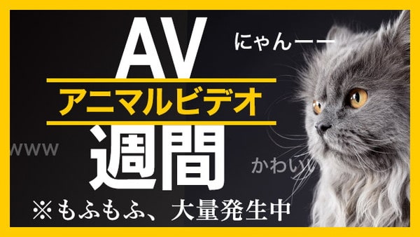 20190922_animalvideo-min