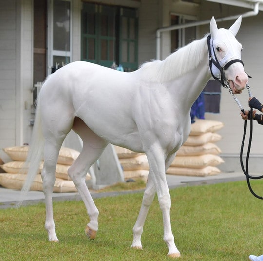 5a3ffcd732a1ce688060e2c0c4d353e2-min