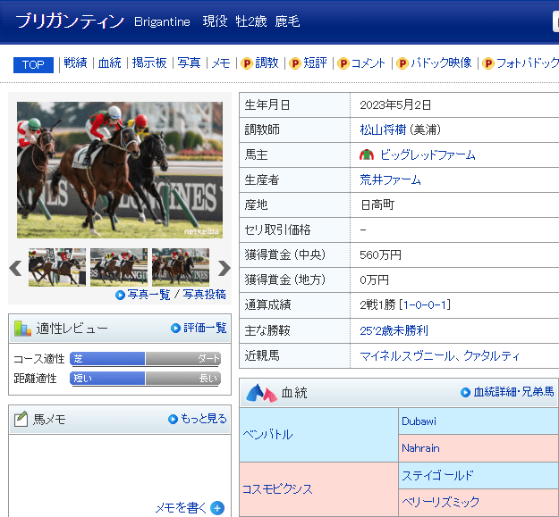 ブリガンティン-min