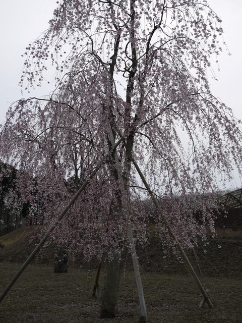 P1010179