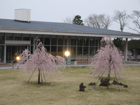 P1010206