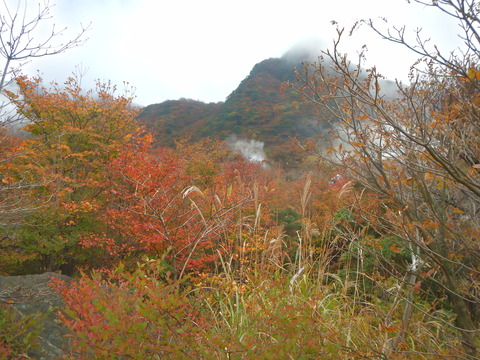 DSCN0972
