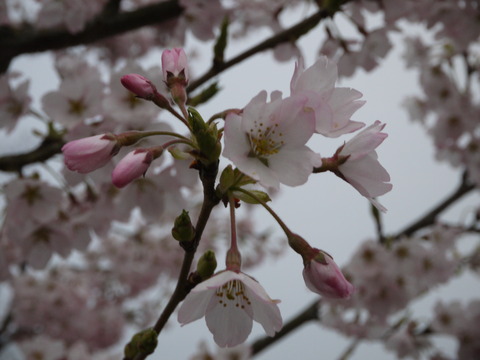 P1010188