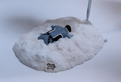 零下140度の対決 : 怪獣人生