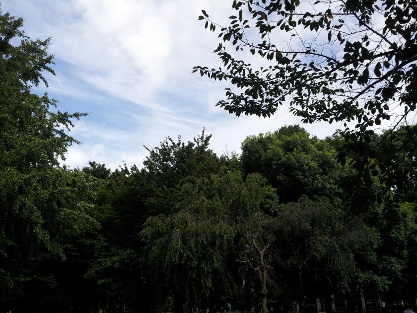 戸山公園いったおはなし ギターが好きです でもかわいい女の子の方がもーっと好きです ただし二次元に限る