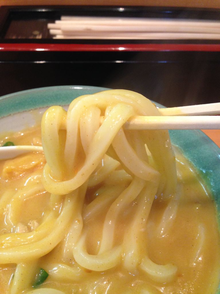 うどんのためのマイルドさ 胃も心も温まるカレーうどん 愛知 栄 うどん錦 ガースーの舌鼓 うどんのためのマイルドさ 胃も心も温まるカレーうどん 愛知 栄 うどん錦 ガースーの舌鼓