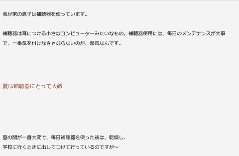 wordpress 書きだし画面2
