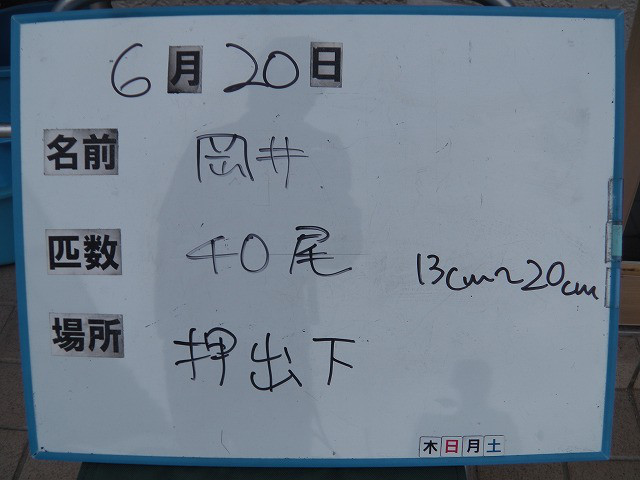 0079eec3.jpg