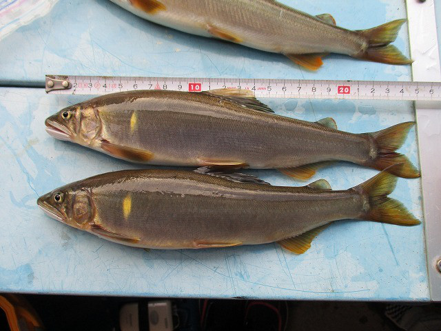 01b95936.jpg