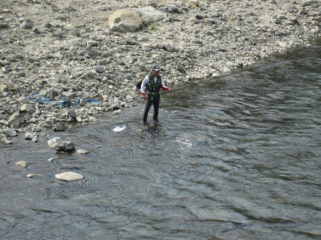 04887129.jpg
