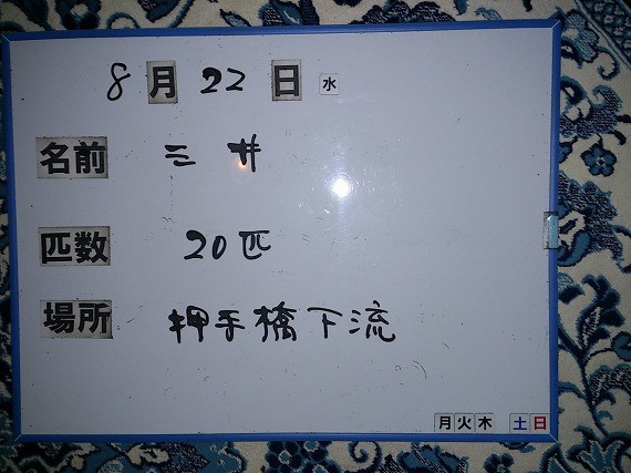 04914638.jpg