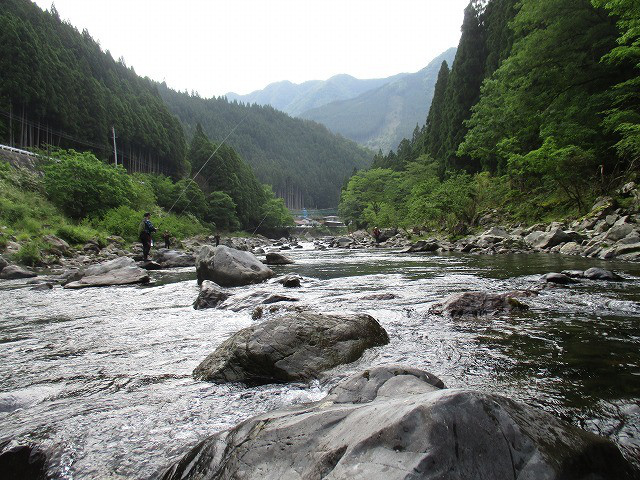 0585e616.jpg