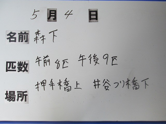 05d38850.jpg