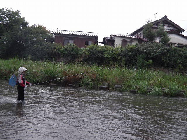 061aa183.jpg