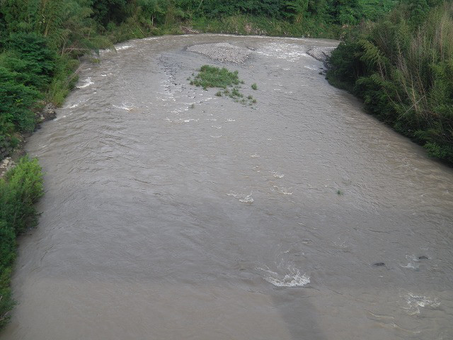 069d31e4.jpg