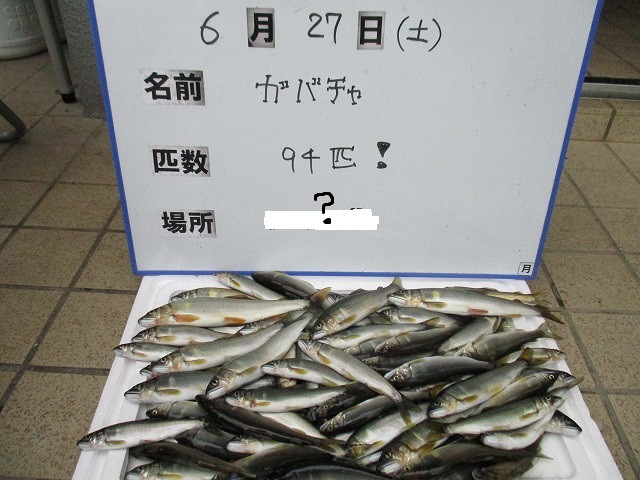 06a97945.jpg