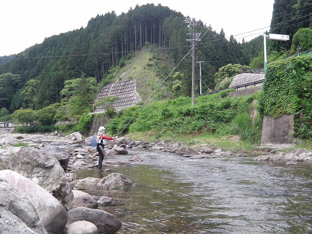0770f723.jpg