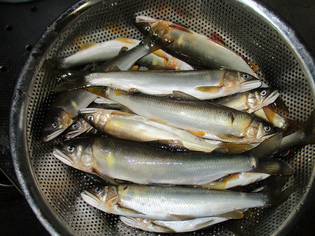07a0d820.jpg