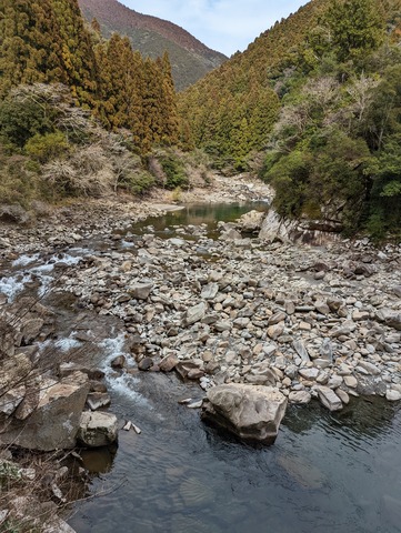 PXL_20230304_054540763
