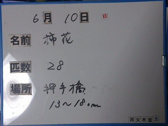 08e88d2c.jpg