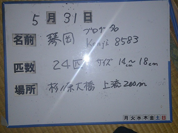 09f6fd48.jpg