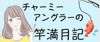 キャプdsdチャ