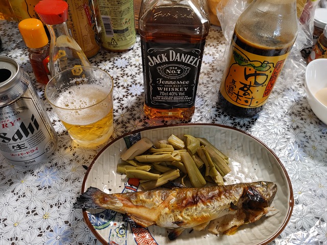 20210410_185105_HDR