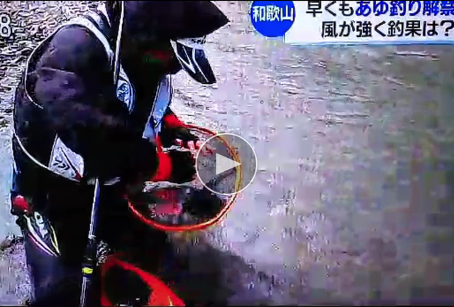 無dfrt題