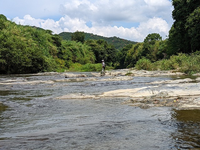 PXL_20220807_030628881
