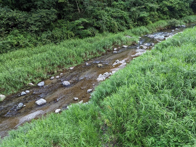 PXL_20220805_085646850