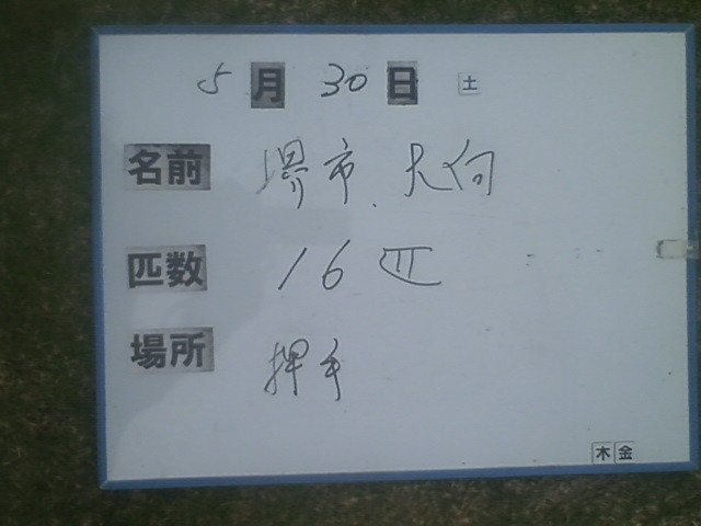 10223ddc.jpg