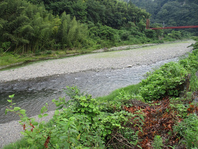 102d703d.jpg