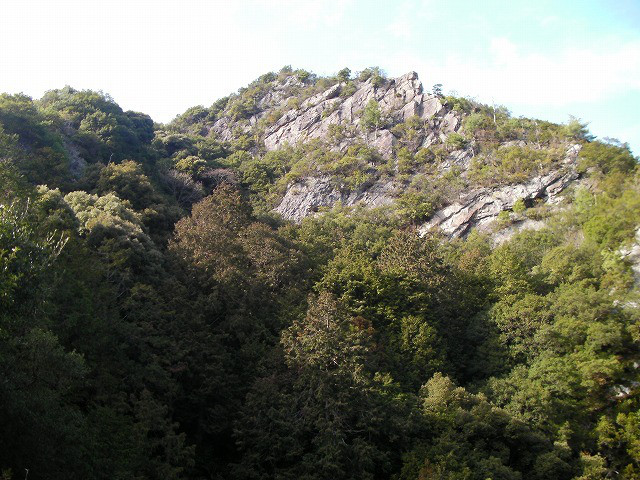 1112c542.jpg