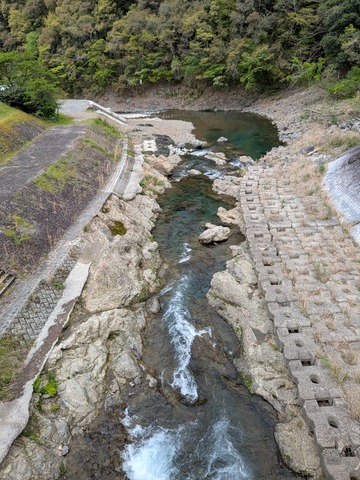 PXL_20260422_011652497.MP